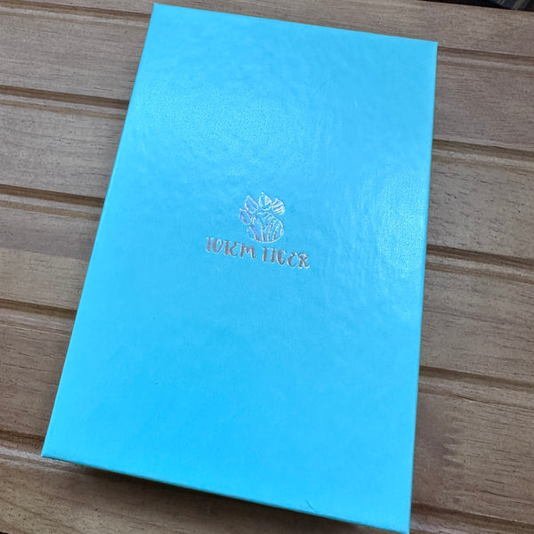 Limited Edition Rainbow Arrow Earings